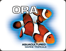 ORA Dry Goods 
