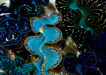 Group of Maxima Clams