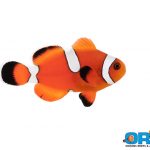 ORA Misbar Blood Orange Clownfish