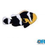 ORA Black Saddleback Cookie