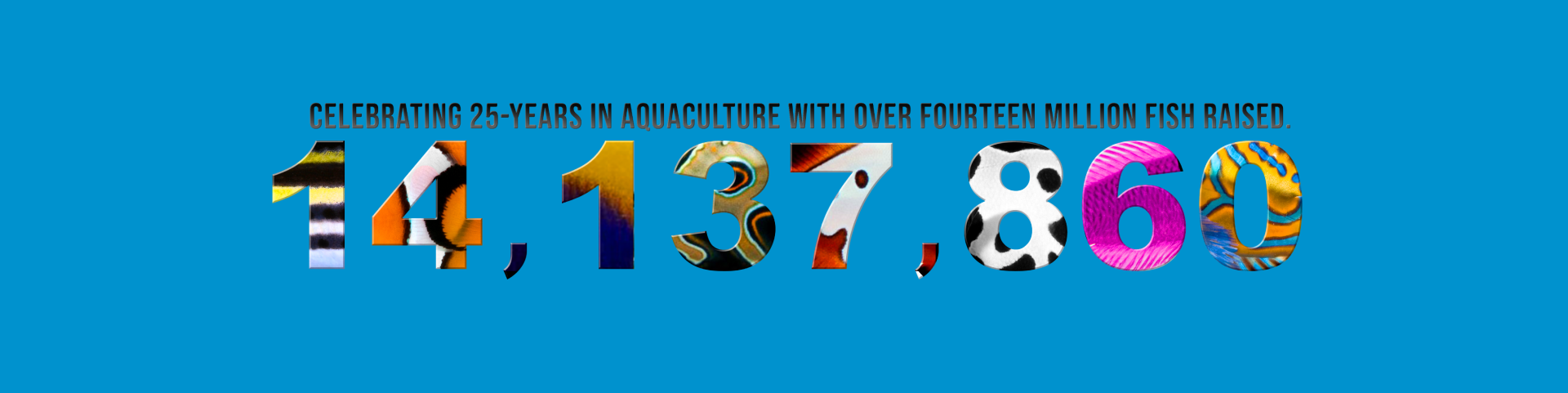 Celebrating 25-Years in Aquaculture