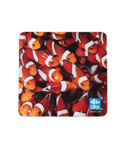 Clownfish Mousepad