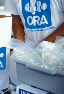 ORA Shipping Department